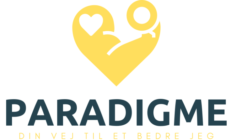 Paradigme